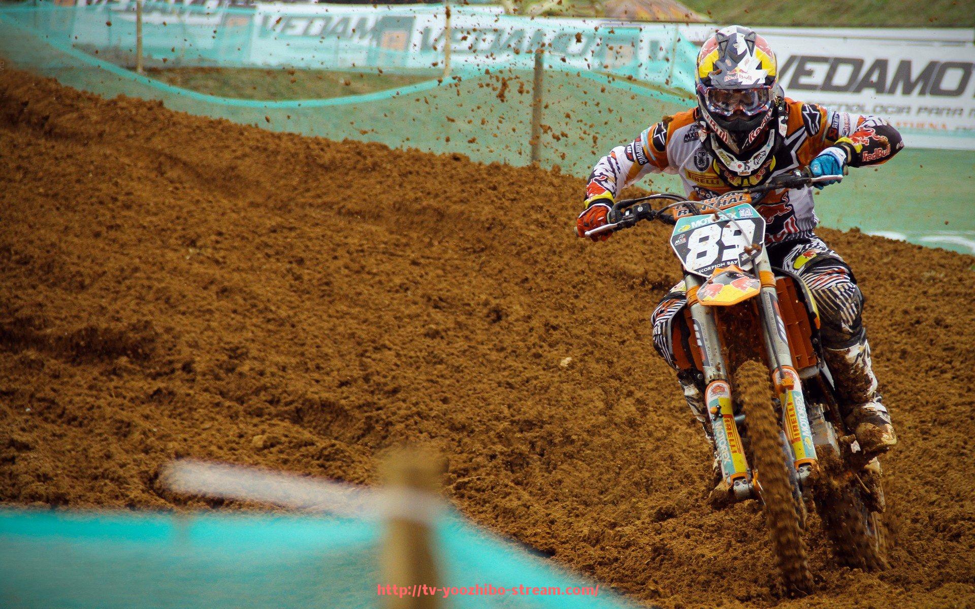 优直播-哪些健身器材可以有效锻炼臀部肌肉的推荐