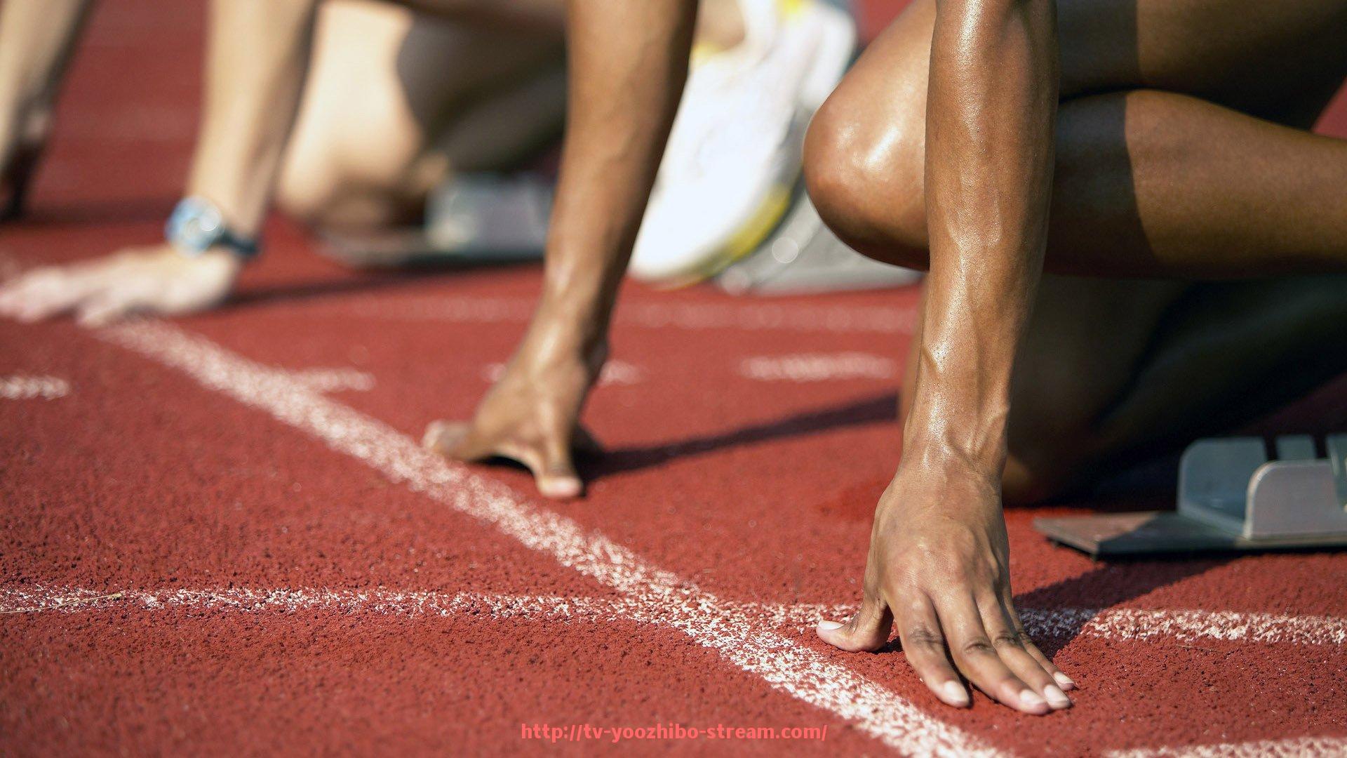 优直播-面对不同对手战术变了吗？世俱杯球队战术适应性分析报告